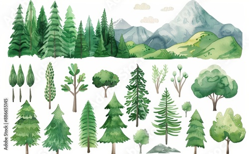 Illustration of a forest tree in watercolor. Mountain landscape with woodland pine trees. Blissful forest.