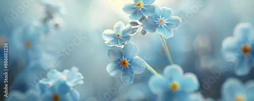 Close-up of a delicate forget-me-not, with its tiny petals and soft blue color. Illustration for a sentimental design or nature-themed artwork. The detailed rendering captures the forget-me-not sweet