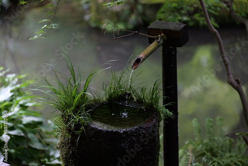 筧から水が流れつくばいに落ちる庭園