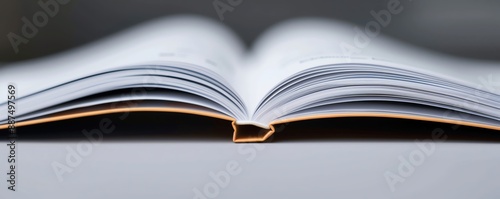Closeup of annotated academic journal, Academic journals, Research literature