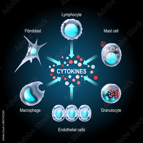 Cytokines are produced by macrophage, lymphocyte, mast cell, endothelial cells and fibroblast. 