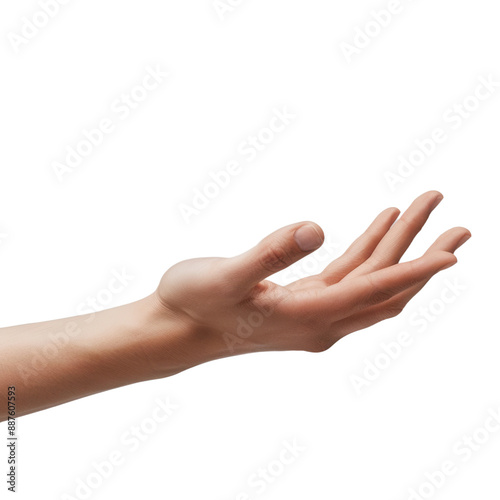 Hand in a relaxed open position, transparent background, even lighting, neutral and calm