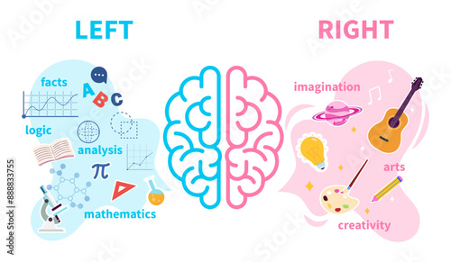 Vector illustration of the right and left hemispheres of the brain. Cartoon scenes of the left hemisphere of the brain: facts, logic, analysis, mathematics; rights: imagination, art, creativity.