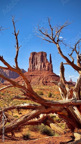 Scenic view of Monument Valley with desert landscape and dead tree