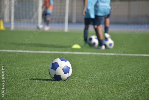 pallone da calcio sul campo da gioco