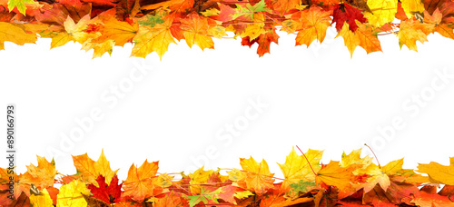 frame of colorful autumn leaves isolated on white background