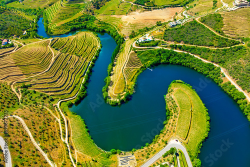 Aerial view of the terraces of the Douro Vineyards on a summer day