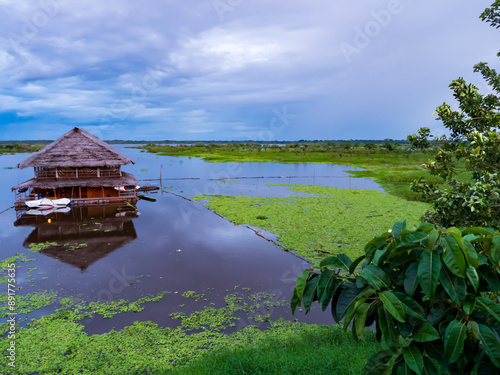 Amazon River