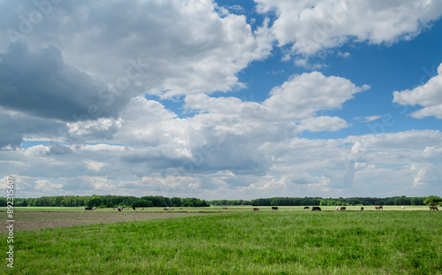 Piękne niebezpieczne chmury burzowe nad polami uprawnymi na wsi 