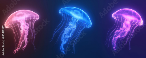 A vibrant image of three neon-colored jellyfish glowing in pink, blue, and purple on a dark background. Beautiful underwater bioluminescence.