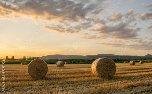 Straw bales on a mowed field at sunset with atmospheric cloudy sky.