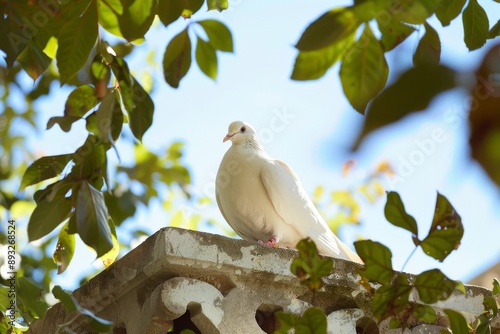 a white dove perched to the entrance to its dovecot set against a clear sky and leaves