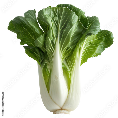 A whole, raw bok choy on transparent background