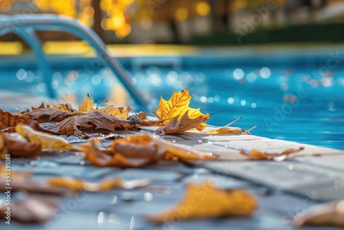 pool cleaning from leaves concept