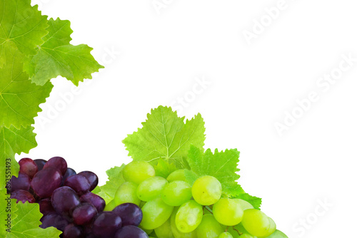 Weintrauben und Weinblätter Hintergrund transparent PNG cut out Vine grapes and leaves