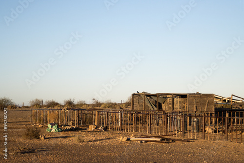 Storm damaged sheep shed and kraal on farm near Brandvlei, Northern Cape, South Africa. Early morning sun.