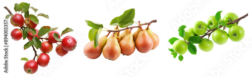 Branches of red apples, pears and green apples over isolated transparent background