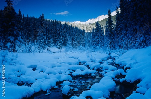 Banff National Park At Dawn