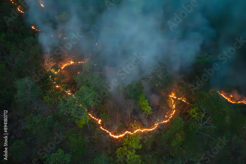 Bushfires in tropical forest release carbon dioxide (CO2) emissions and other greenhouse gases (GHG) that contribute to climate change.