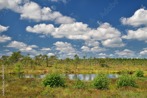 Das Schwarze Moor in der Rhön