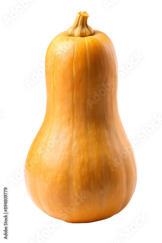 Butternut Squash, isolated on a transparent background