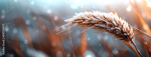  A tight shot of a wheat stalk in a snow-laden field Snowflakes gently fall upon the grass, blanketing the ground with a pristine, white layer