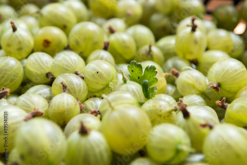 freshly harvested gooseberries in the box