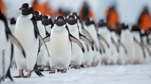 An engaging image of a large group of penguins walking in a line on the snowy ground, displaying a sense of coordination and the harsh yet beautiful polar environment.