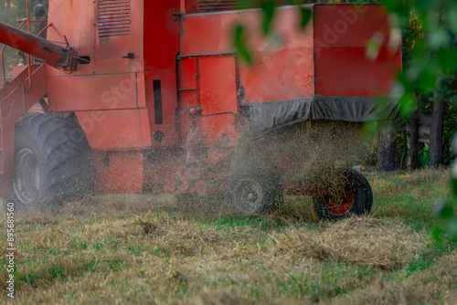 Harvest in the countryside. combine harvester mowing wheat, rye, grain during sunset and golden hour in a field next to a coniferous deciduous forest. floating dust from mowing in sunlight