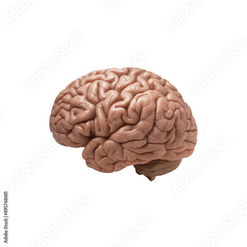 3D Medical Brain Highlighted Background View of brain shape