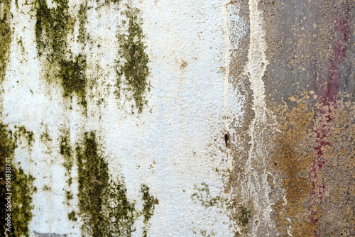 Old rusty metal surface with green moss.