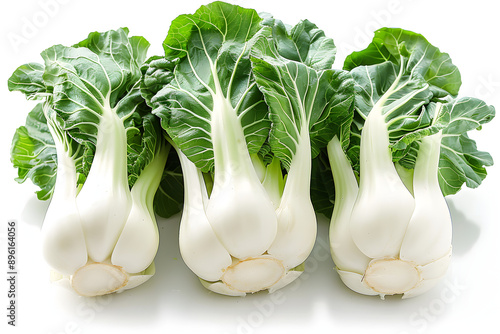 Whole Bok choy vegetable on a white background