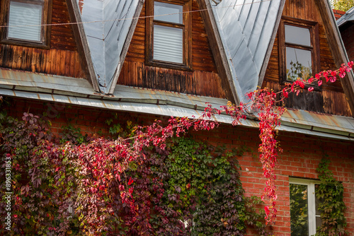 Decorative grapes with red-green leaves on the facade of a brick house