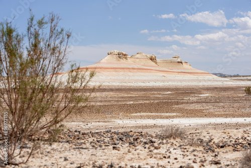 Poor flora does not make the Kyzylkup tract less picturesque and interesting. Kazakhstan, Mangystau Region.