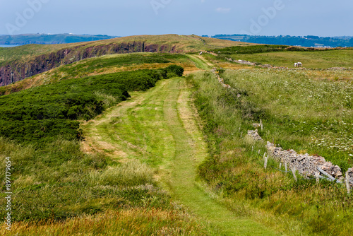 The rugged clifftop coastline of Caldey Island, Wales, UK