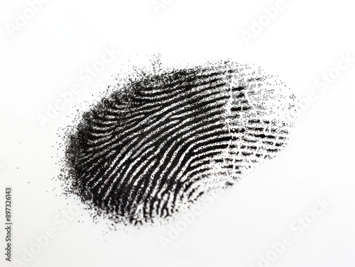 Fingerprint on White Background