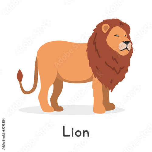 Lion vector illustration, cartoon clipart character, animal in flat style. Wild animals, wild creatures, wildlife concept. Lion vector design isolated on white background