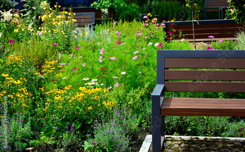 drewniana ławka ogrodowa w ogrodzie z kolorowymi kwiatami, wooden garden bench in the garden with colorful flowers 