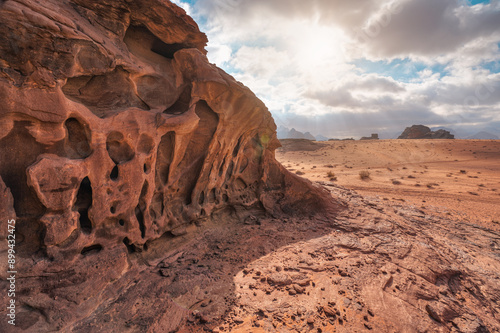 Red orange sandstone rocks formations with small shrubs growing near in Wadi Rum (also known as Valley of the Moon) desert, Jordan