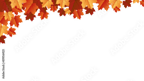 Autumn leaf background with transparent background. Autumn leaf border with transparent background