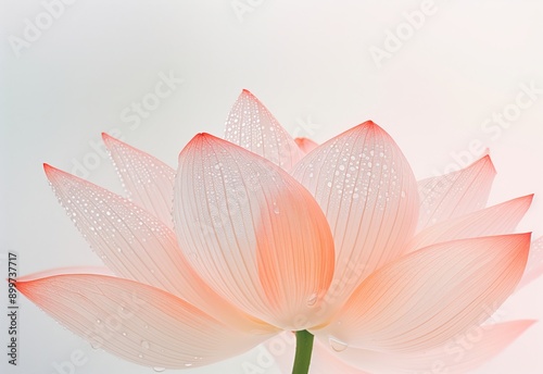 A delicate lotus flower with soft pink petals covered in morning dew, symbolizing purity, beauty, and tranquility.