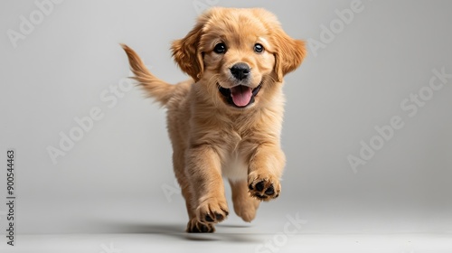 Golden retriever puppy, pure white background, playful stance, mid-stride, wagging tail, adorable expression, soft fur, floppy ears, studio photography, high-key lighting.