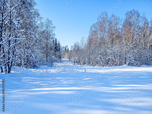 Paisaje invernal nevado con árboles cubiertos de nieve bajo un cielo azul claro. La escena crea una sensación de calma y serenidad.