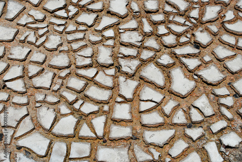 Cracked soil, Eleuthera, Bahamas