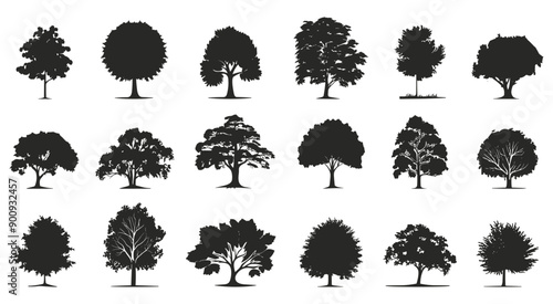 Trees black silhouettes set. Crowns and trunks. Deciduous trees. Oak birch alder maple. Side view. Landscape design elements. Isolated vector clipart collection