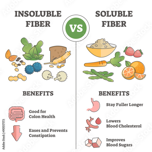 Insoluble or soluble fiber consumption benefits comparison outline concept, transparent background. Food supplement from anatomical health aspect for digestive system illustration.