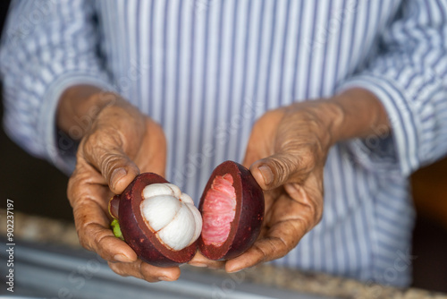 a mangosteen cut by half