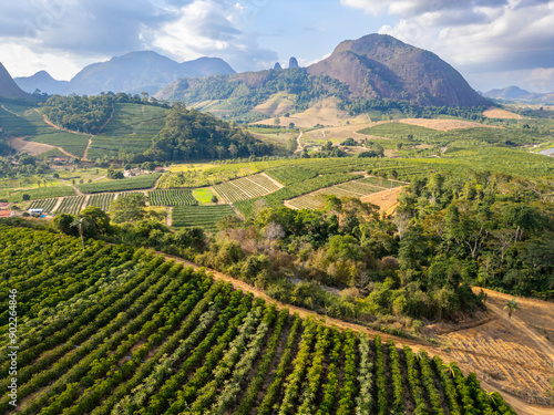 Aerial view of rural landscape of Aguia Branca, ES, Brazil, highlighting conilon coffee plantations set against the backdrop of rocky mountains.