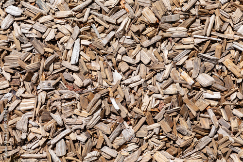 detail of fresh wood chips