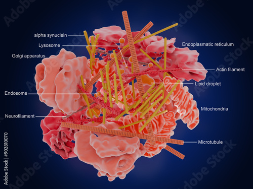 Components of a Lewy body